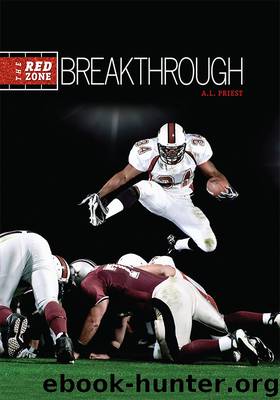 #2 Breakthrough by A. L. Priest
