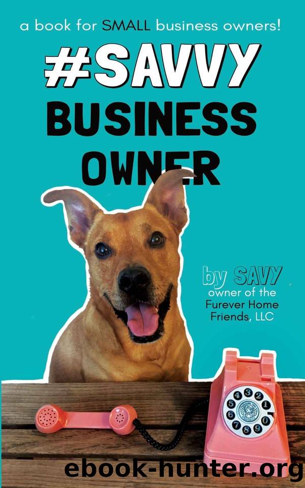 #SavvyBusinessOwner: A Book for Small Business Owners! by Savy Leiser