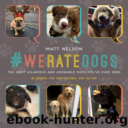 #WeRateDogs by Matt Nelson