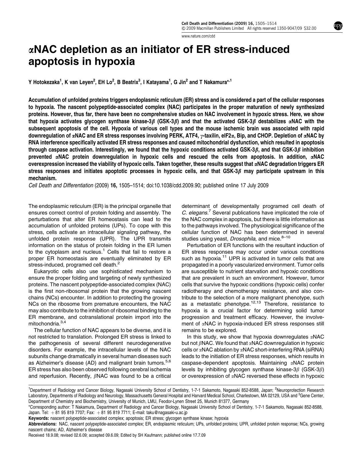 &alpha;NAC depletion as an initiator of ER stress-induced apoptosis in hypoxia by Y Hotokezaka & K van Leyen & E H Lo & B Beatrix & I Katayama & G Jin & T Nakamura