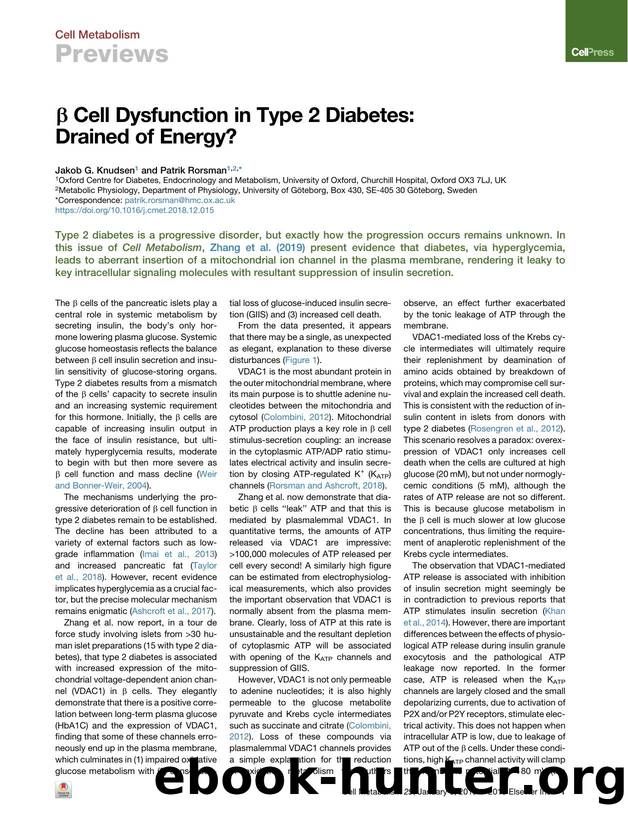 &beta; Cell Dysfunction in Type 2 Diabetes: Drained of Energy? by Jakob G. Knudsen & Patrik Rorsman