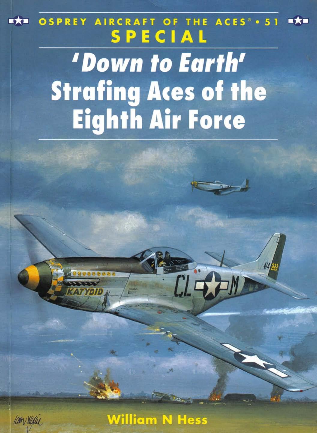 'Down to Earth' Strafing Aces of the Eighth Air Force by William Hess Chris Davey