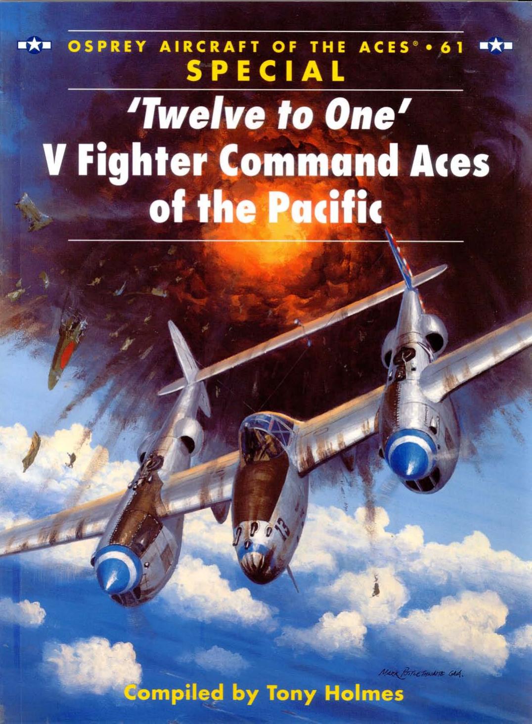 'Twelve to One' V Fighter Command Aces of the Pacific by Tony Holmes Chris Davey