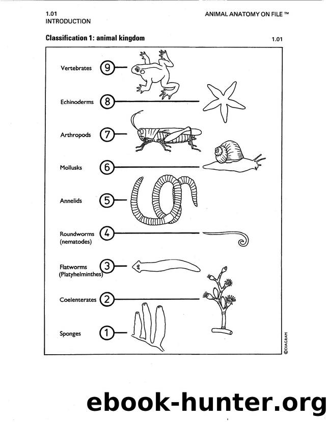 (Facts on File) Animal Anatomy on File (2003) by Unknown
