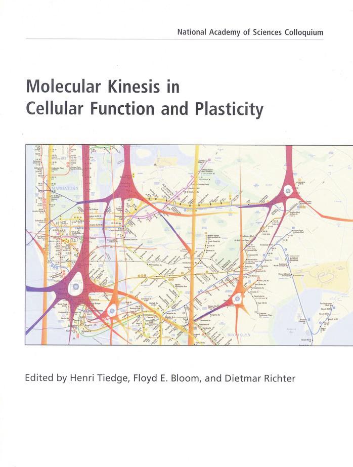 (NAS Colloquium) Molecular Kinesis in Cellular Function and Plasticity by Proceedings of the National Academy of Sciences