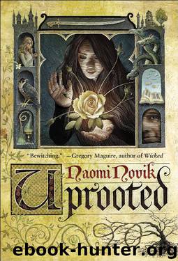 (Nebula 2015) Uprooted by Naomi Novik