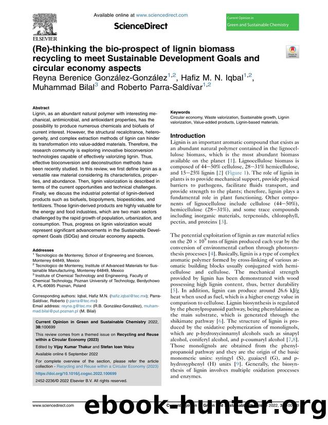 (Re)-thinking the bio-prospect of lignin biomass recycling to meet Sustainable Development Goals and circular economy aspects by Reyna Berenice González-González & Hafiz M.N. Iqbal & Muhammad Bilal & Roberto Parra-Saldívar