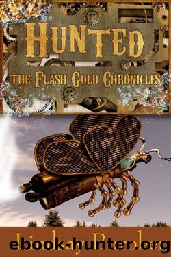 (eng) Lindsay Buroker - Flash Gold Chronicles 02 by Hunted