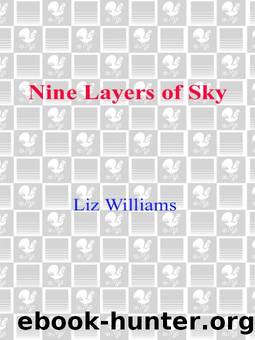 (eng) Liz Williams by Nine Layers of Sky
