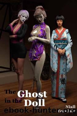 (eng) Niall Teasdale - Fox Meridian 06 by The Ghost in the Doll
