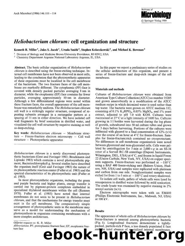 <Emphasis Type="Italic">Heliobacterium chlorum<Emphasis>: cell organization and structure by Unknown