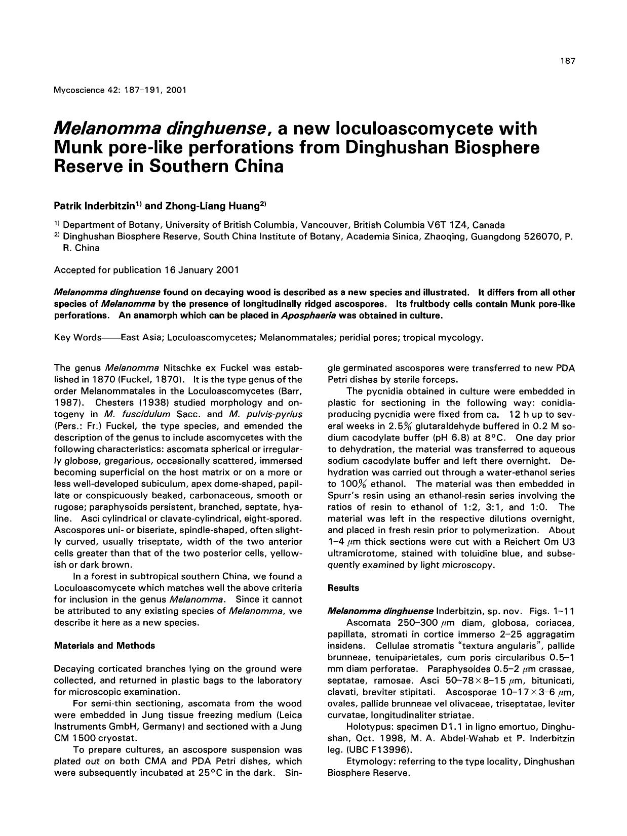 <Emphasis Type="Italic">Melanomma dinghuense <Emphasis>, a new loculoascomycete with Munk pore-like perforations from Dinghushan Biosphere Reserve in Southern China by Unknown