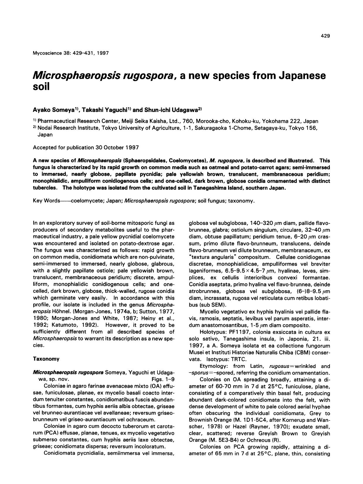 <Emphasis Type="Italic">Microsphaeropsis rugospora <Emphasis>, a new species from Japanese soil by Unknown