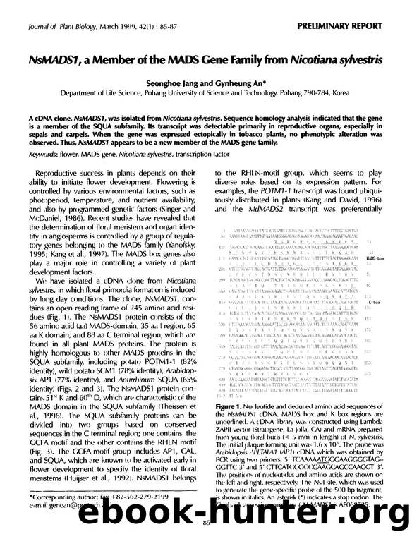 <Emphasis Type="Italic">NsMADS1 <Emphasis>, a member of the MADS gene family from <Emphasis Type="Italic">Nicotiana sylvestris <Emphasis> by Unknown