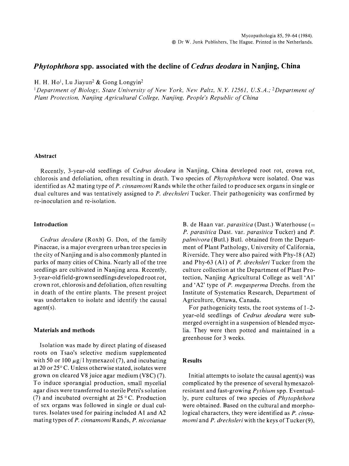 <Emphasis Type="Italic">Phytophthora<Emphasis> spp. associated with the decline of <Emphasis Type="Italic">Cedrus deodara<Emphasis> in Nanjing, China by Unknown