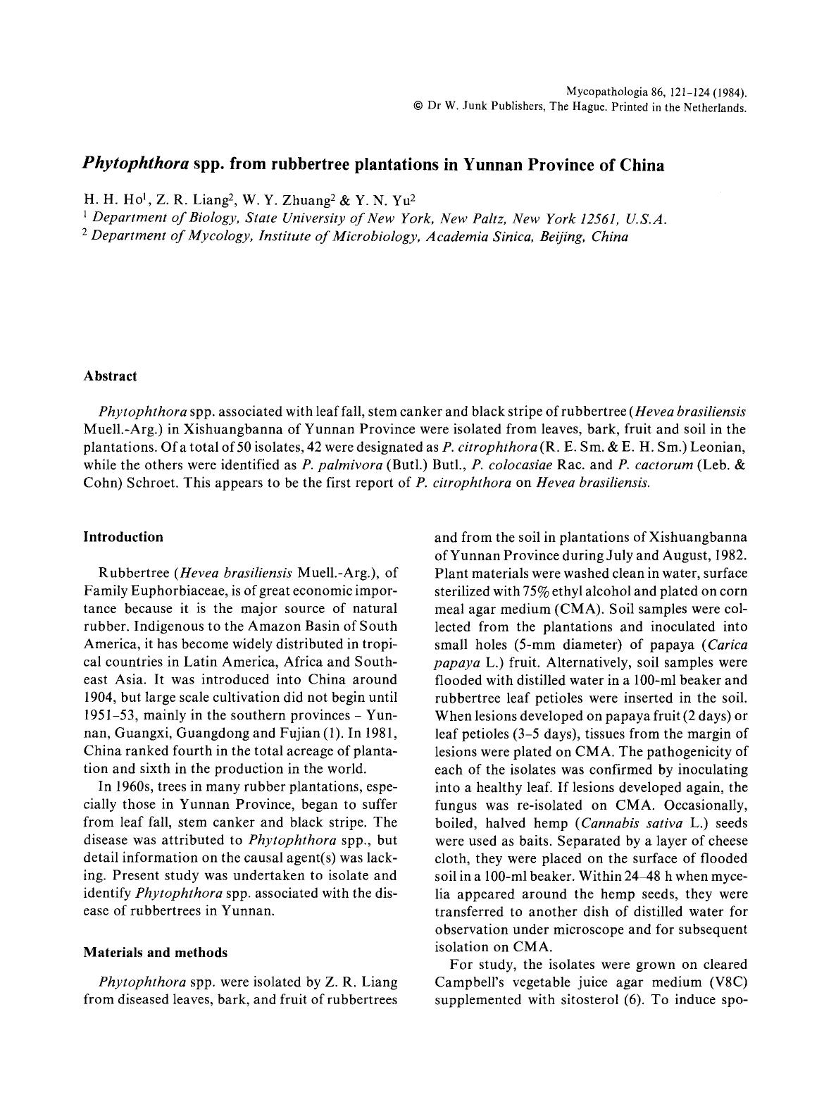 <Emphasis Type="Italic">Phytophthora<Emphasis> spp. from rubbertree plantations in Yunnan Province of China by Unknown