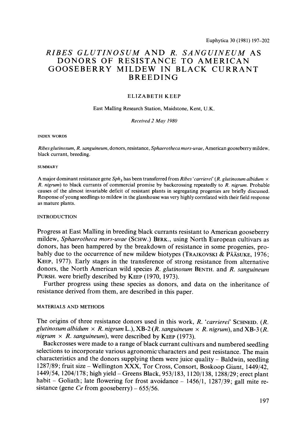 <Emphasis Type="Italic">Ribes glutinosum <Emphasis> and <Emphasis Type="Italic">R. Sanguineum <Emphasis> as donors of resistance to American gooseberry mildew in black currant breeding by Unknown