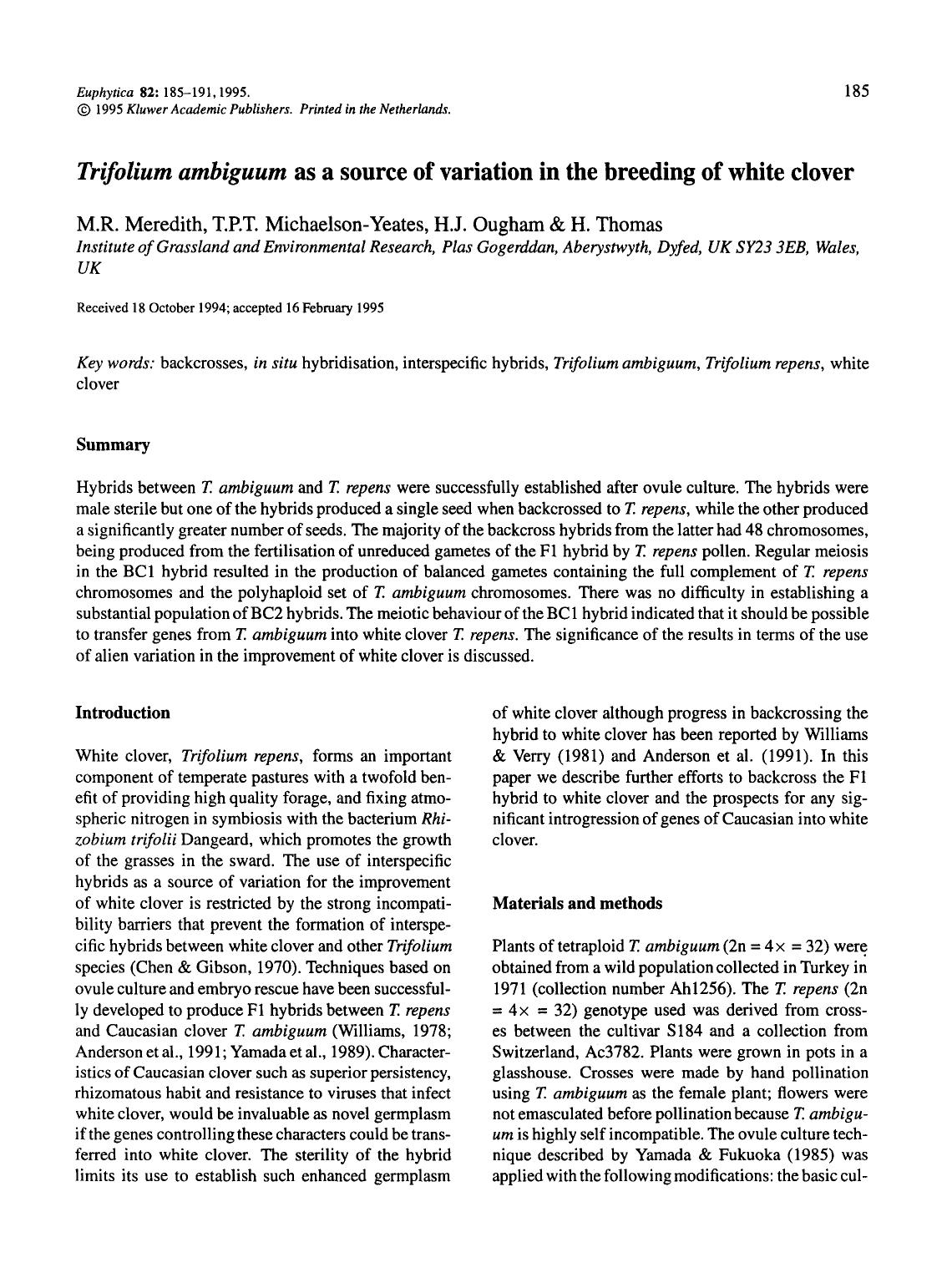 <Emphasis Type="Italic">Trifolium ambiguum <Emphasis> as a source of variation in the breeding of white clover by Unknown