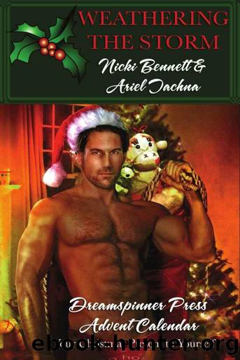 [Christmas Dreams] Weathering the Storm - Nicki Bennett & Ariel Tachna by Ariel Tachna