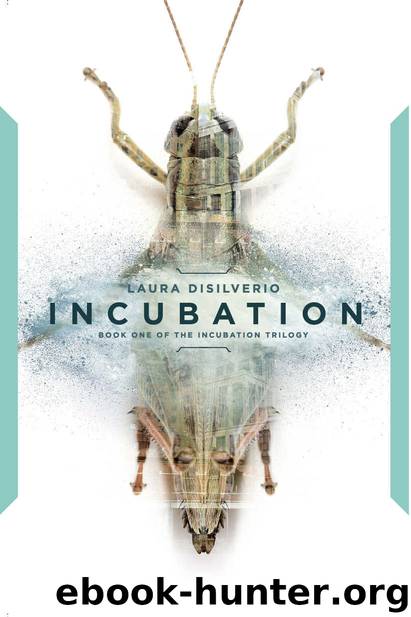 [Incubation 01.0] Incubation by Laura Disilverio