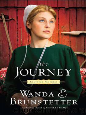 [Kentucky Brothers 01] - The Journey by Brunstetter Wanda E