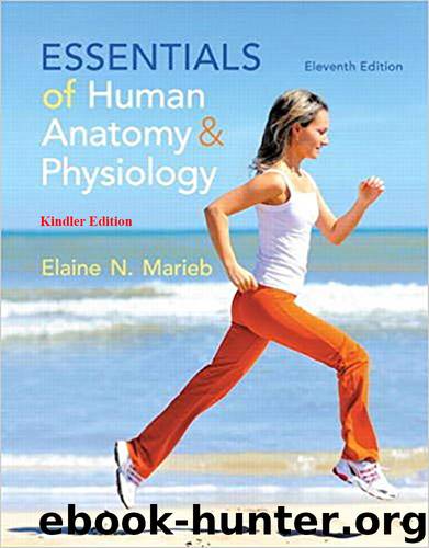 [Kindler Edition] Essentials of Human Anatomy & Physiology 11th Edition 2014 by Elaine N. Marieb by Elaine N. Marieb