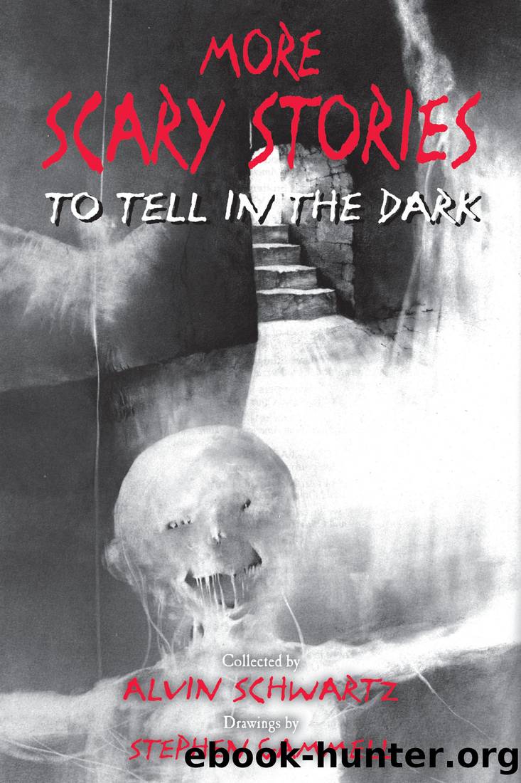 [Scary Stories 02] â¢ More Scary Stories to Tell in the Dark by Schwartz Alvin