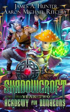 [Shadowcroft Academy For Dungeons 02] - Year Two by Hunter James A. & Ritchey Aaron Michael