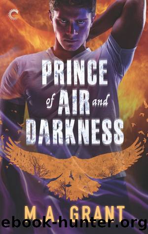 [The Darkest Court 01] â¢ Prince of Air and Darkness by Grant M.A