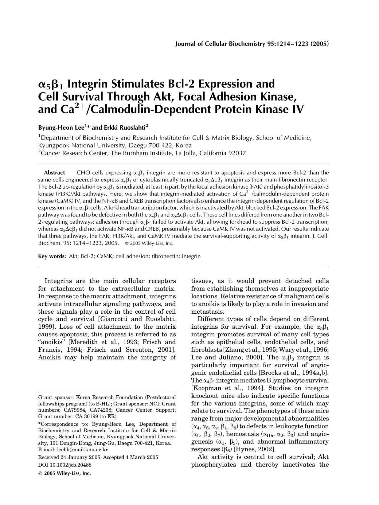[alpha]5[beta]1 integrin stimulates Bcl-2 expression and cell survival through Akt, focal adhesion kinase, and Ca2+calmodulin-dependent protein kinase IV by Unknown