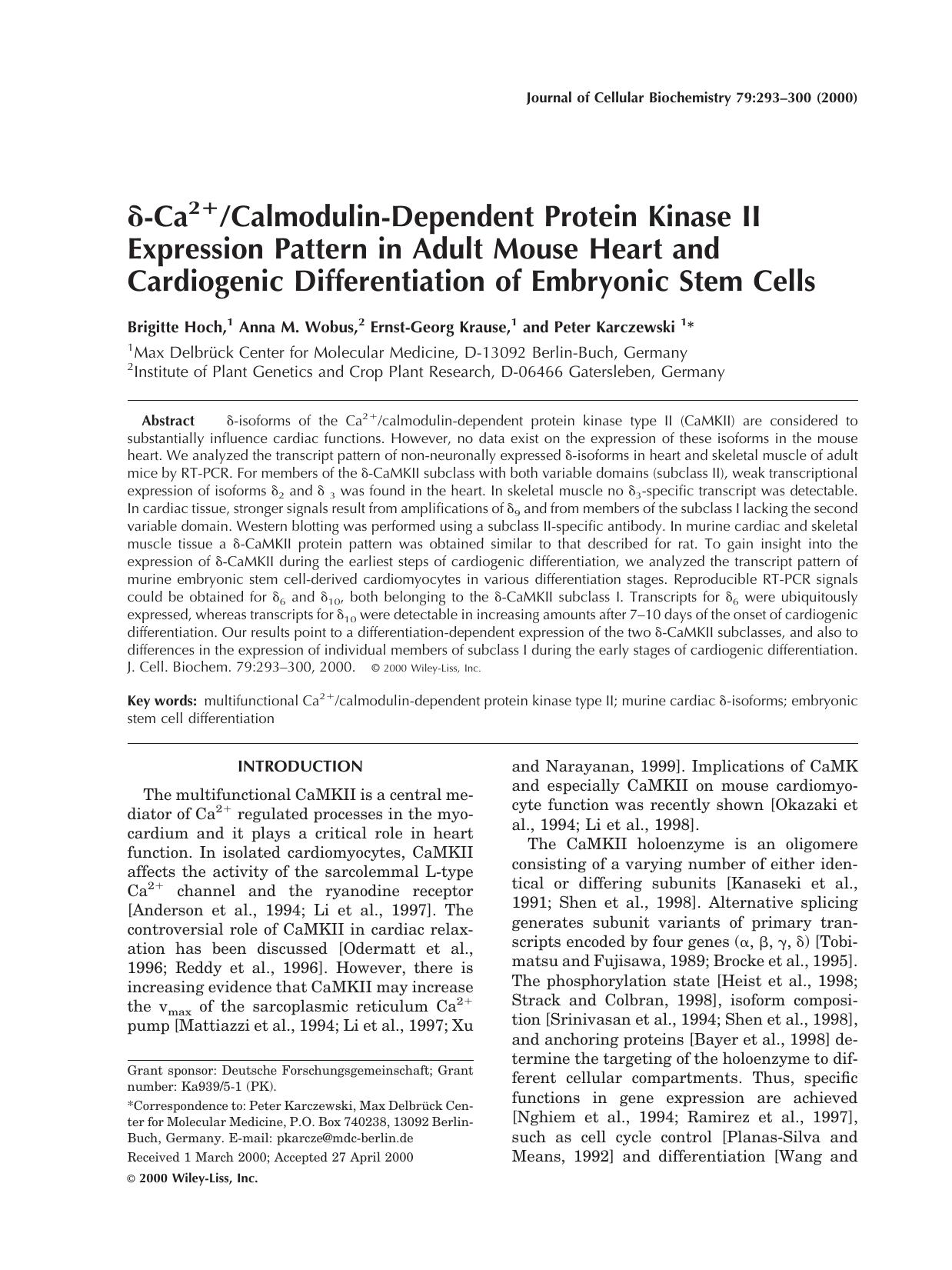 [delta]-Ca2+calmodulin-dependent protein kinase II expression pattern in adult mouse heart and cardiogenic differentiation of embryonic stem cells by Unknown