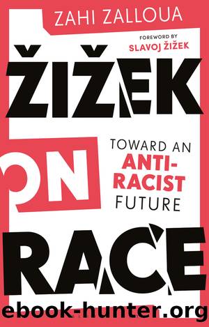Å½iÅ¾ek on Race by Zahi Zalloua