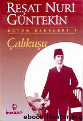 Çalıkuşu by Reşat Nuri Güntekin