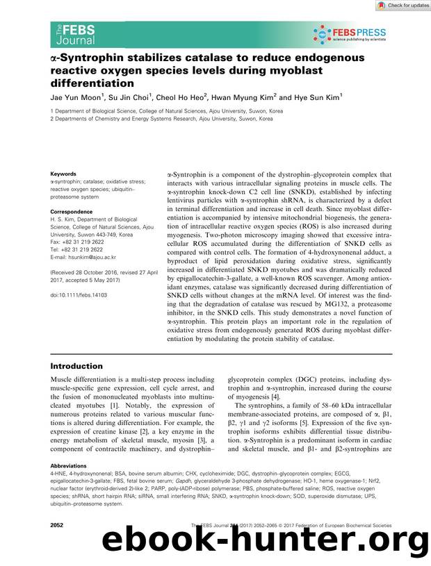 Î±âSyntrophin stabilizes catalase to reduce endogenous reactive oxygen species levels during myoblast differentiation by Unknown