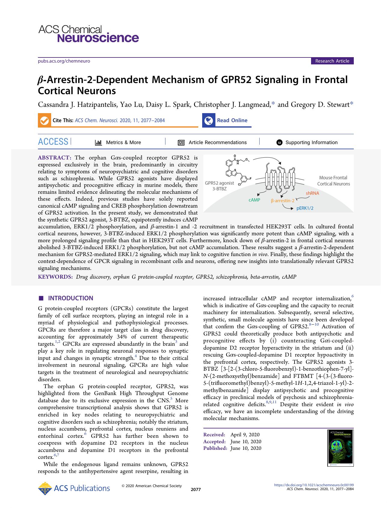 Î²-Arrestin-2-Dependent Mechanism of GPR52 Signaling in Frontal Cortical Neurons by Cassandra J. Hatzipantelis Yao Lu Daisy L. Spark Christopher J. Langmead and Gregory D. Stewart