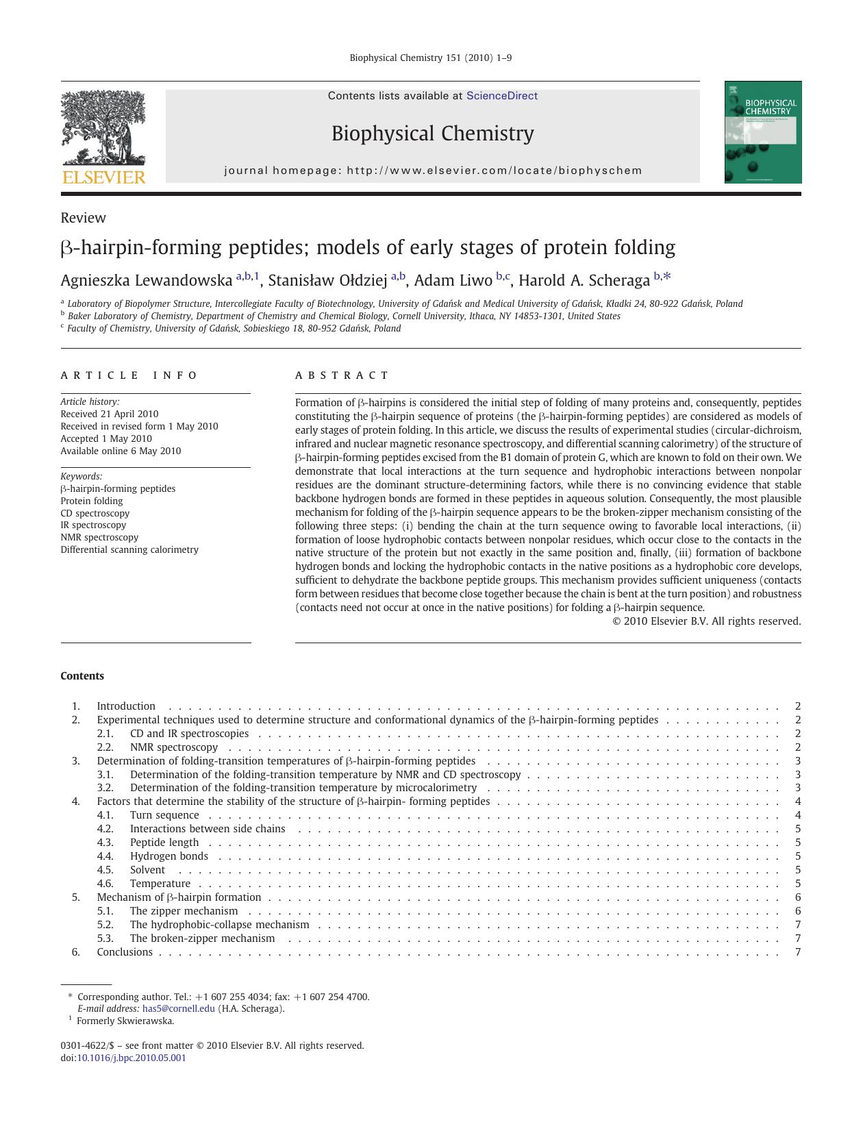 Î²-hairpin-forming peptides; models of early stages of protein folding by Agnieszka Lewandowska & Stanisław Ołdziej & Adam Liwo & Harold A. Scheraga