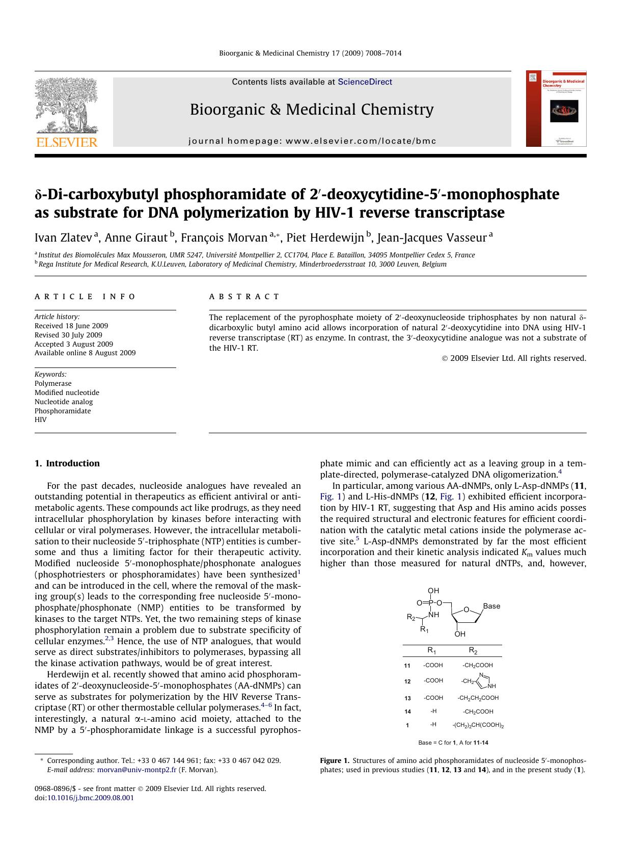 Î´-Di-carboxybutyl phosphoramidate of 2â²-deoxycytidine-5â²-monophosphate as substrate for DNA polymerization by HIV-1 reverse transcriptase by Ivan Zlatev; Anne Giraut; François Morvan; Piet Herdewijn; Jean-Jacques Vasseur