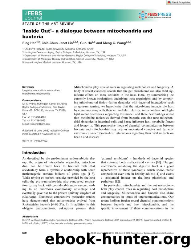 âInside Outââ a dialogue between mitochondria and bacteria by Unknown