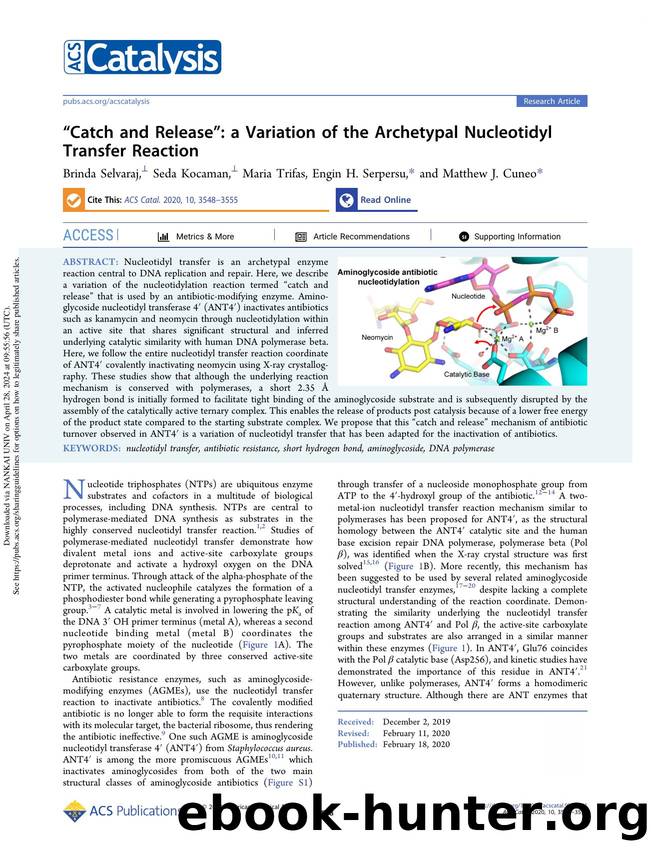 âCatch and Releaseâ: a Variation of the Archetypal Nucleotidyl Transfer Reaction by Brinda Selvaraj Seda Kocaman Maria Trifas Engin H. Serpersu & Matthew J. Cuneo