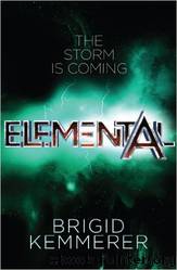 00.5 Elemental by Brigid Kemmerer