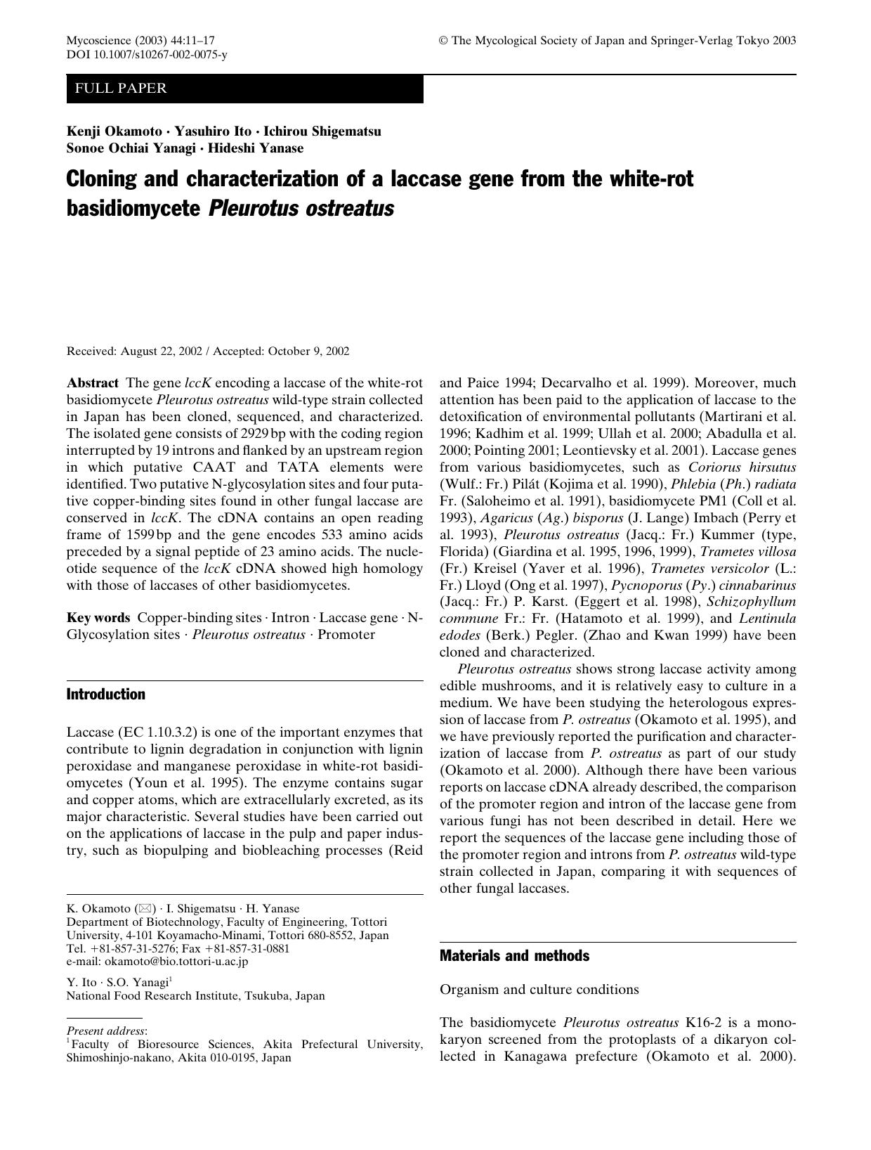 0011-0017 by Unknown