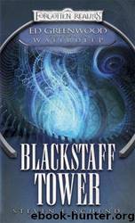 01 Blackstaff Tower by Steven E Schend