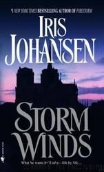 02 - Storm Winds by Iris Johansen