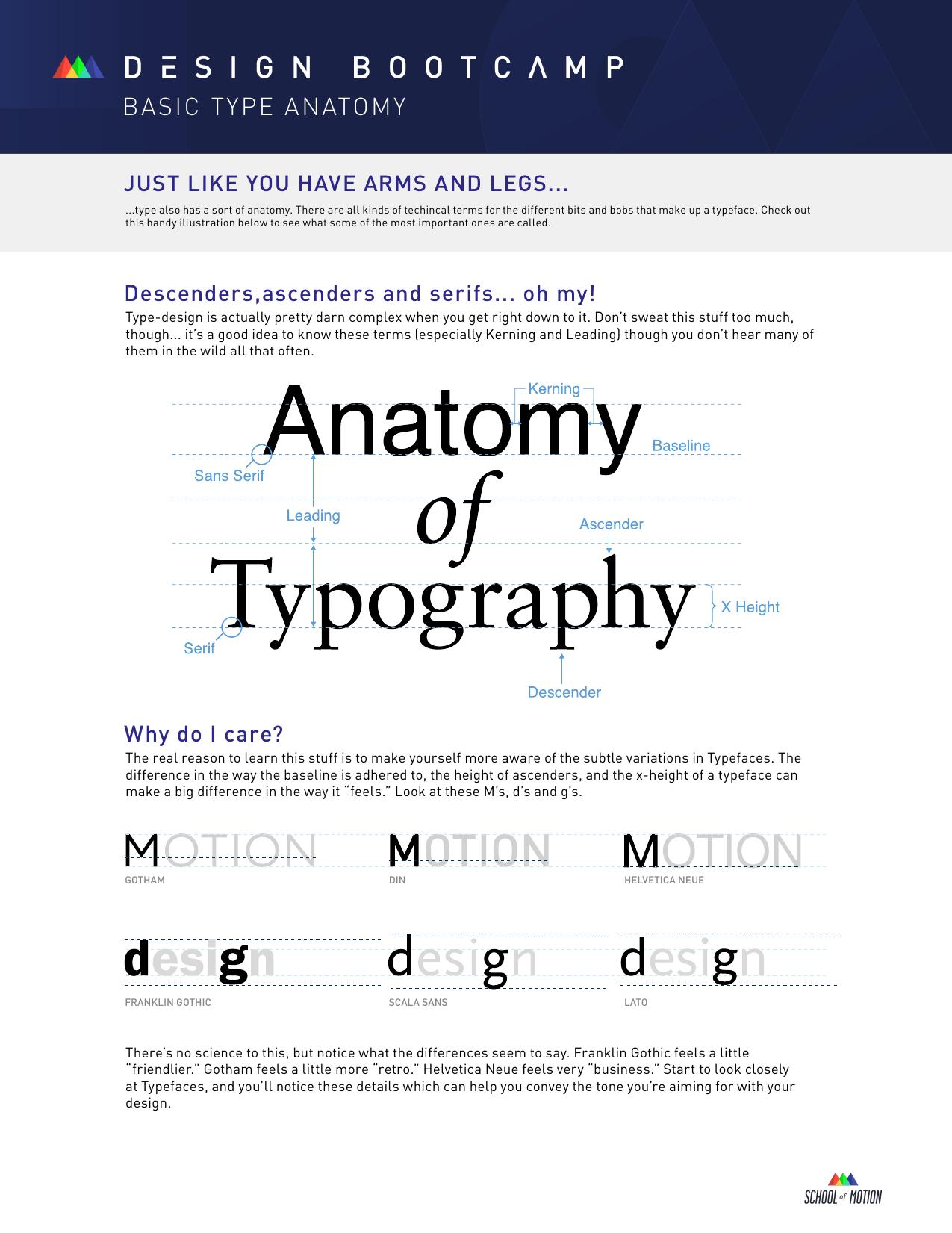 02 Anatomy of Typeface by Unknown
