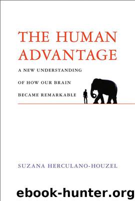 0262034255 (B) by Suzana Herculano-Houzel
