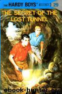 029 The Secret of the Lost Tunnel by Franklin W. Dixon