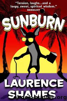 03 Sunburn by Laurence Shames