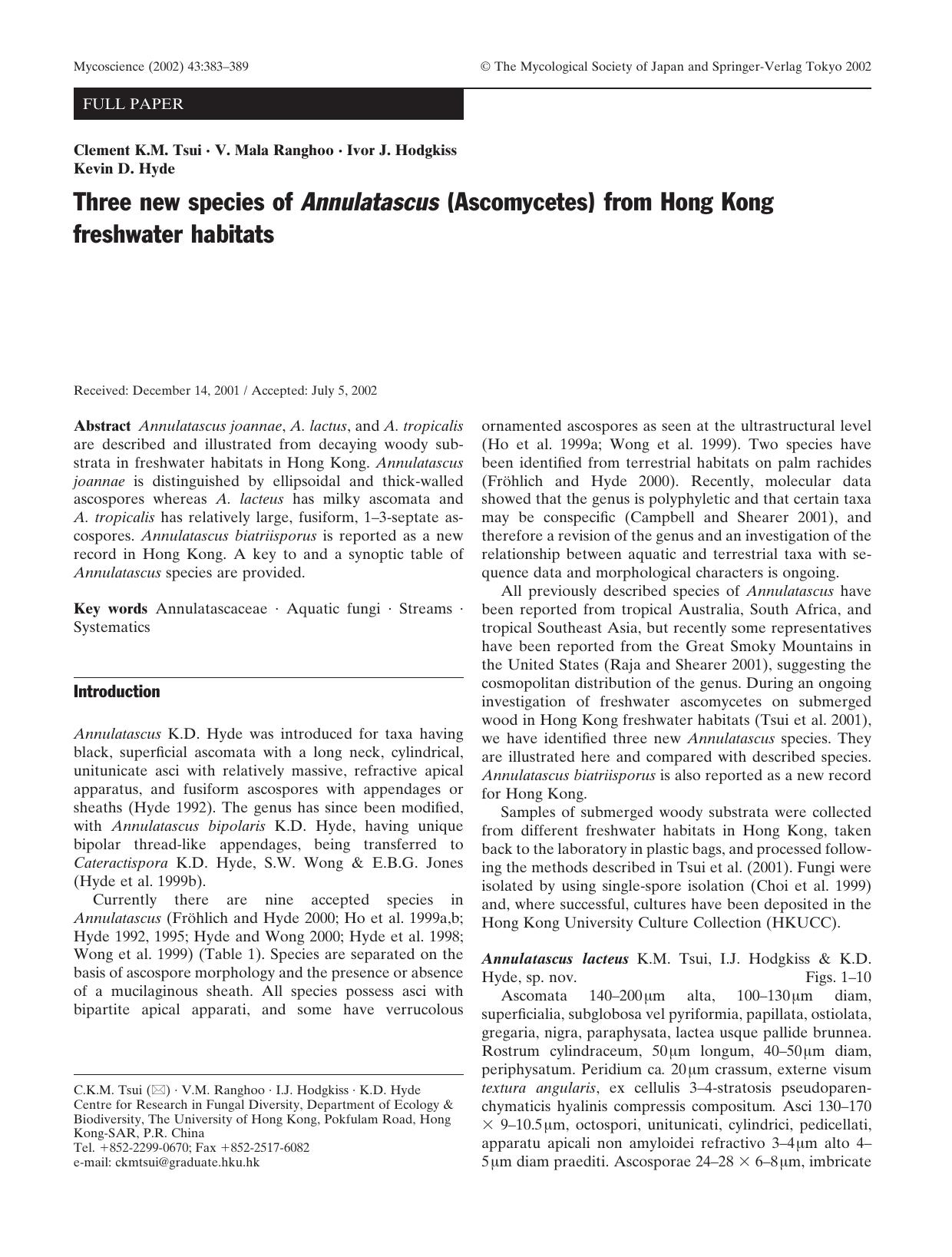 0383-0389 by Unknown