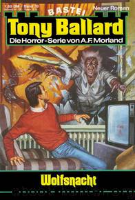 039 - Wolfsnacht by A.F.Morland