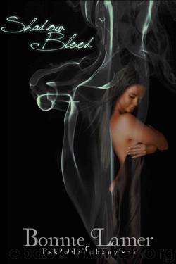 04 Shadow Blood - Witch Fairy by Bonnie Lamer